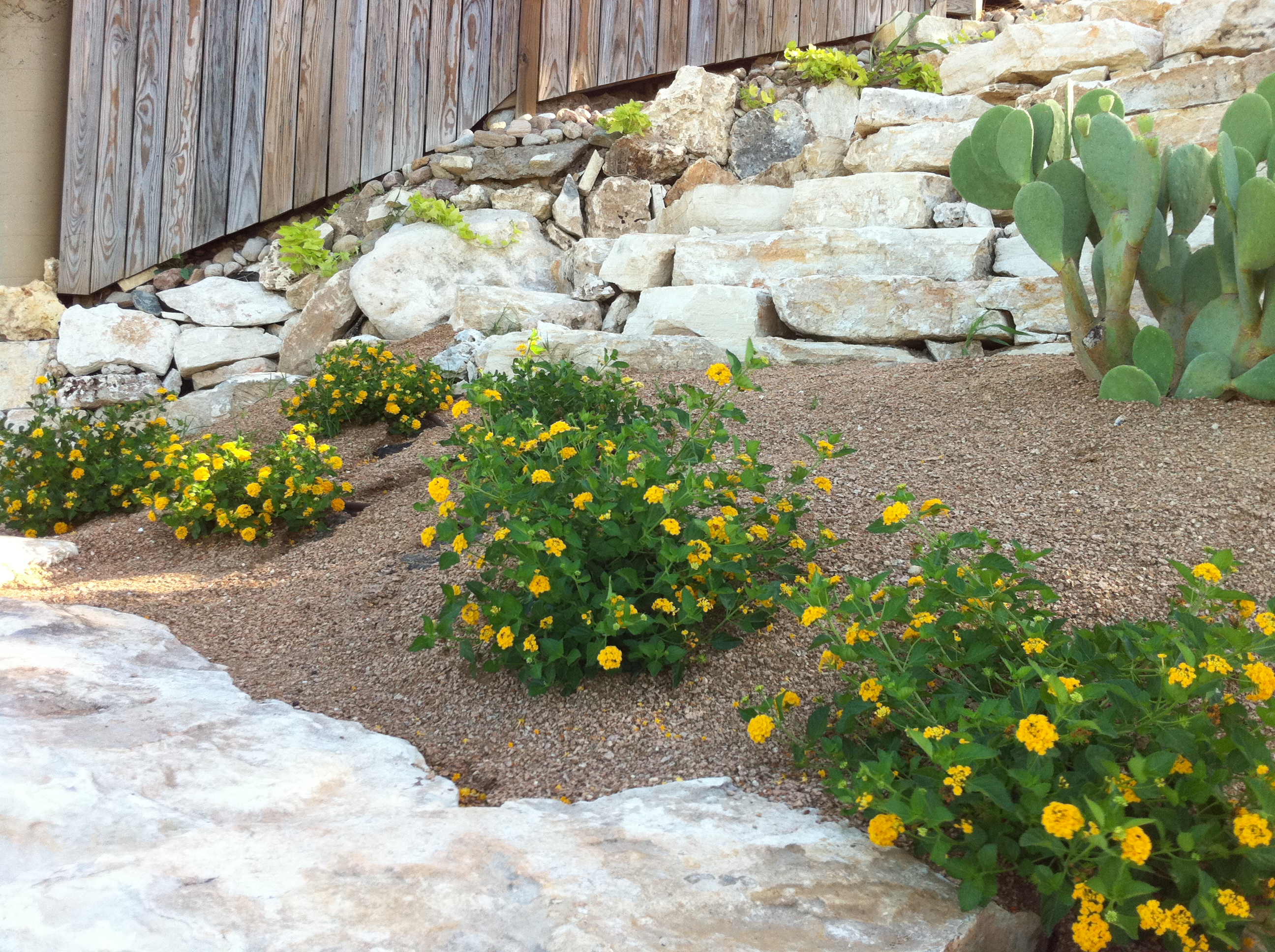 Custom pool installation